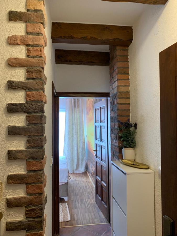 Oasis Apartment Budva
