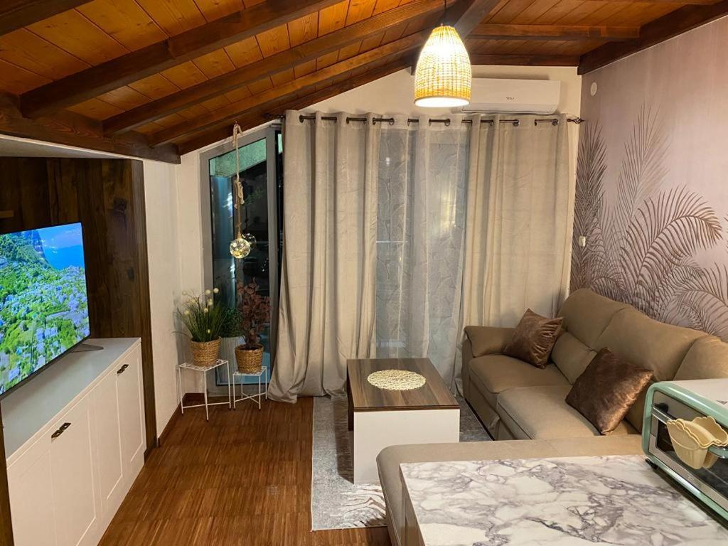 Apartment Oasis *
