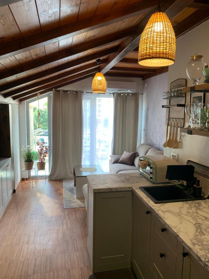 Apartment Oasis *